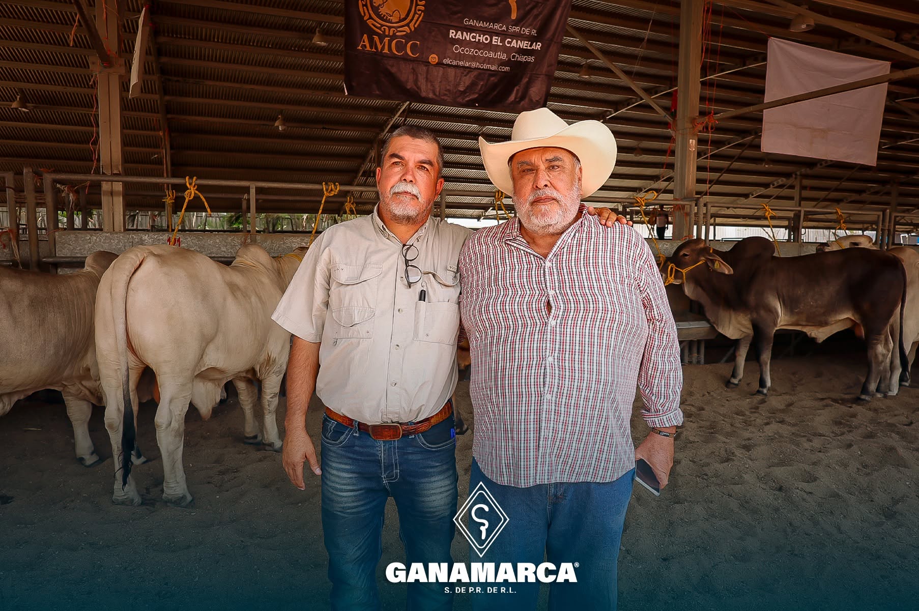 Ganado